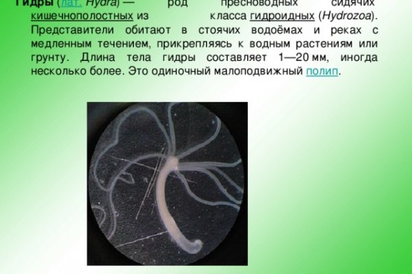 Почему не получается зайти на кракен